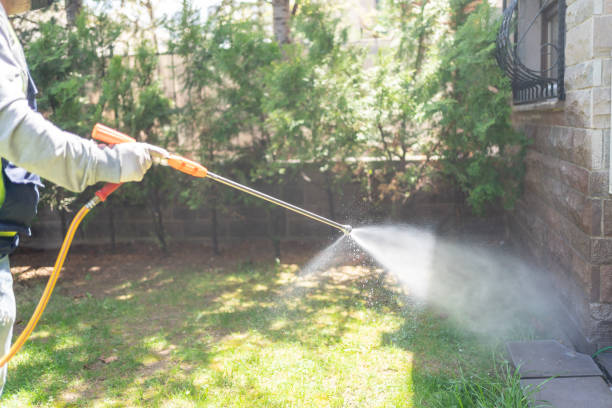 Best Pest Prevention Services  in Tellico Plains, TN