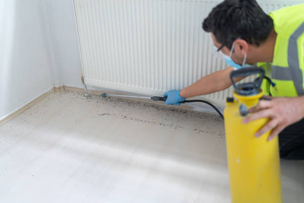 Pest Prevention Services in Tellico Plains, TN